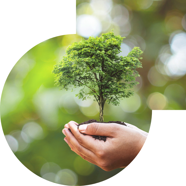 关怀人类、文化、环境与社会